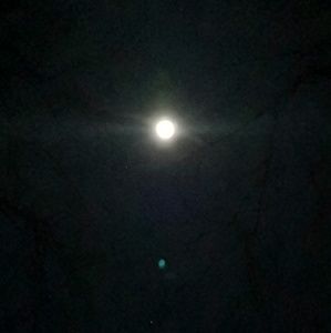 Meet your Posher, Brie